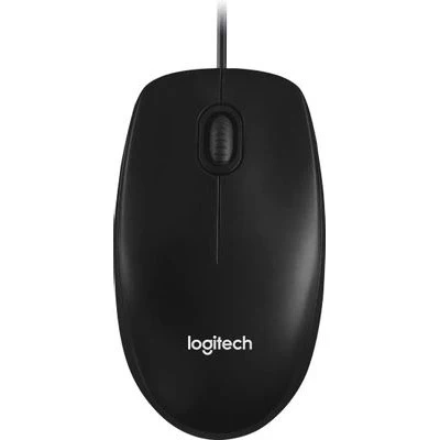 Logitech B100 mouse